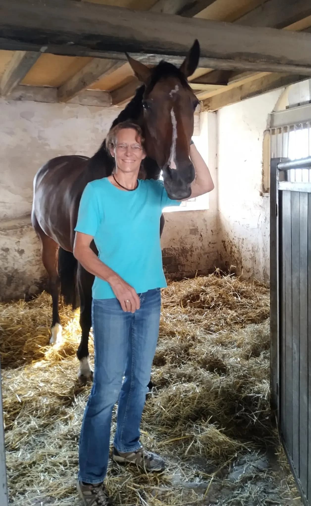 So löst man Stress und innere Unruhe beim Pferd – Online-Methode erklärt