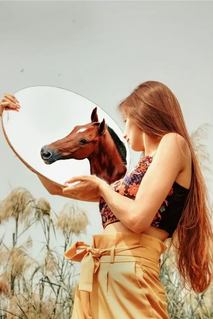 Warum dein Pferd deinen Stress spiegelt – und was du tun kannst