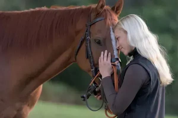 Mit dem eigenen Pferd sprechen lernen – Energetische Pferdekommunikation online